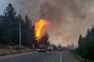 El-bolson-incendios-forestales-2