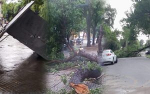 Lluvia-tormenta-temporal-en-rosario-arboles-agua