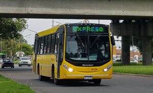 Rosario-expreso-colectivo