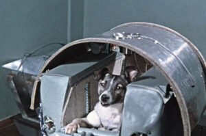 Laika-perra-astronauta-rusia-historia-1