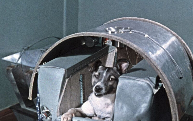 Laika-perra-astronauta-rusia-historia-1