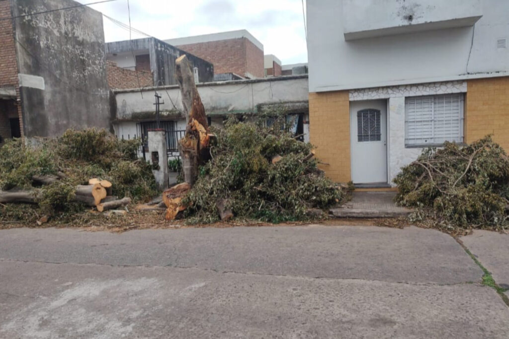 Arbol-reclamo-barrio-hospitales