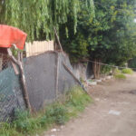 Asesinaron a una mujer de 47 años y detuvieron a un joven